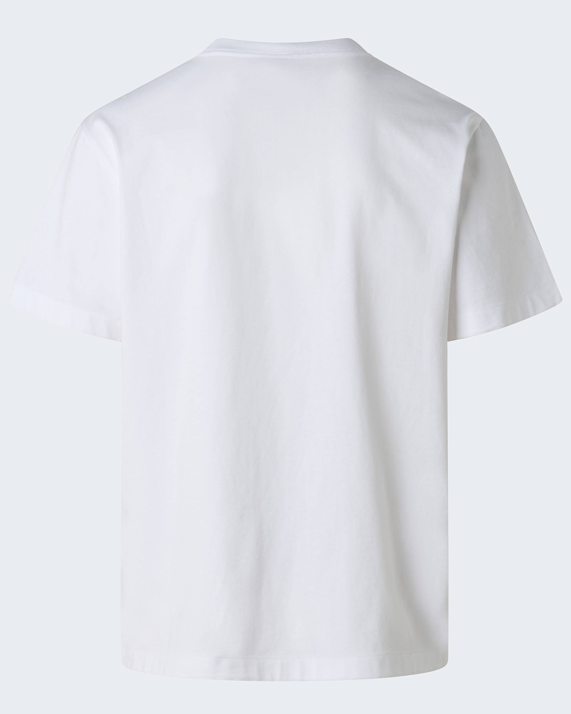 Explorer Relaxed Graphic Tshirt voor heren TNF alt1