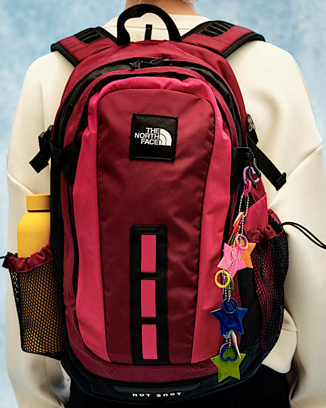 men's the north face hot shot limited edition backpack Spacious compartments Unpacking The North Face Hot