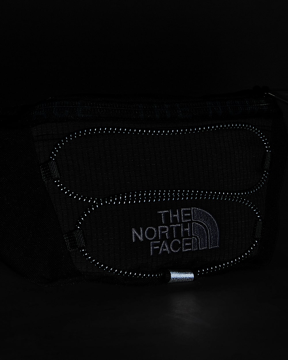 Jester Bum Bag TNF ALT5