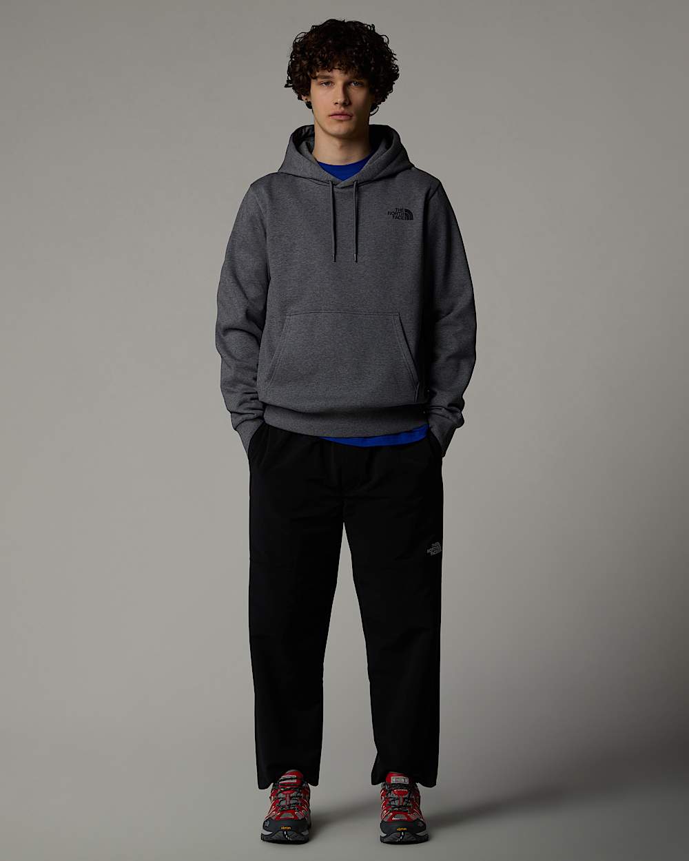 Sweat  capuche Simple Dome pour homme TNF ALT1