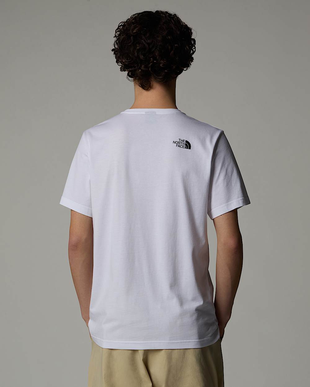 Mens Graphic Half Dome TShirt TNF ALT2