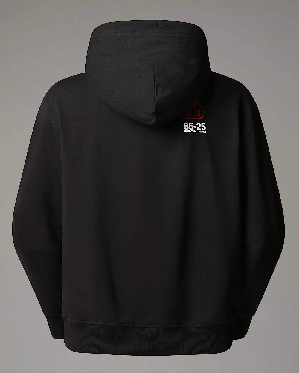 Mountain Jacket Anniversary Relaxed Hoodie TNF alt21