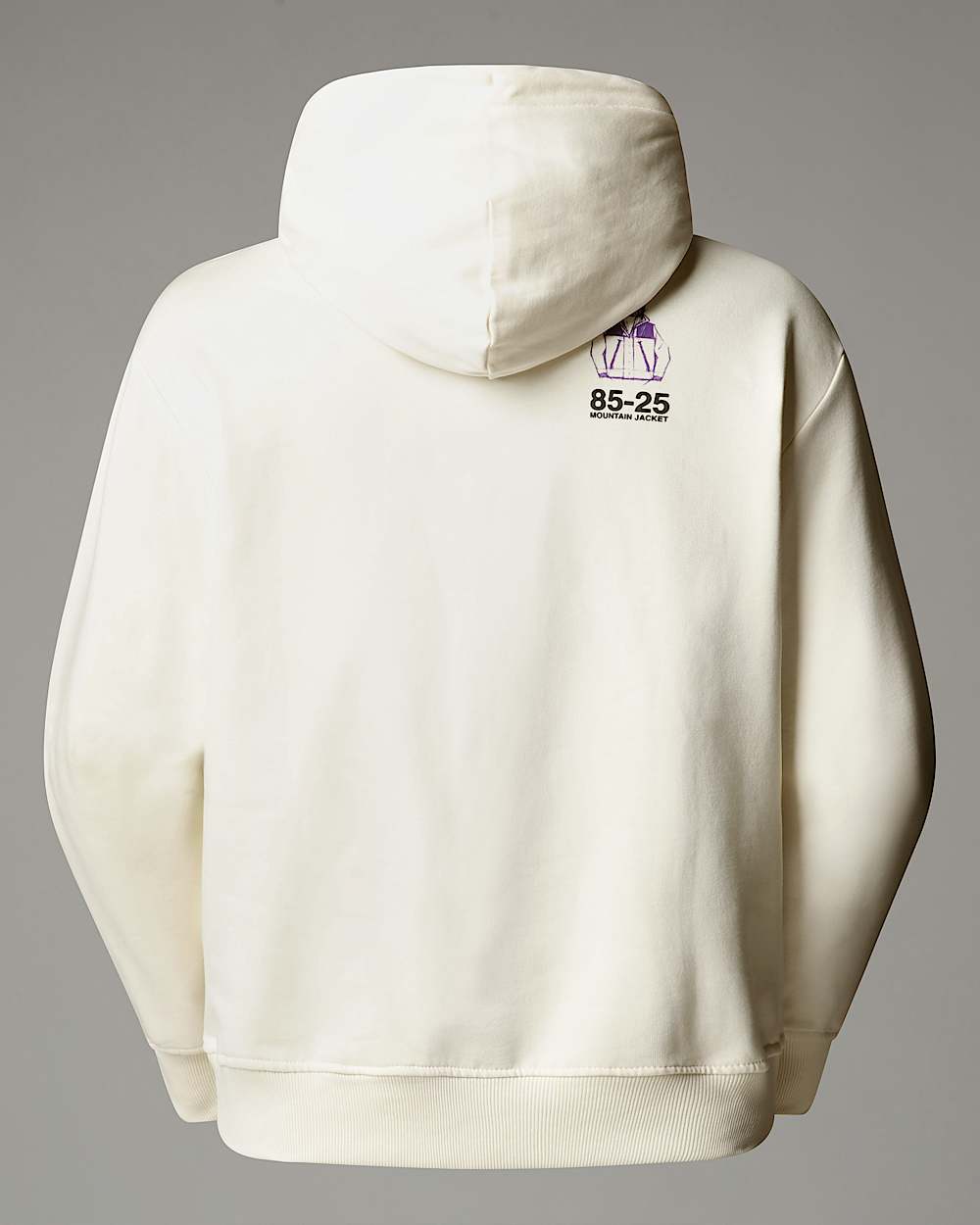 Sudadera holgada con capucha Mountain Jacket Anniversary TNF alt21