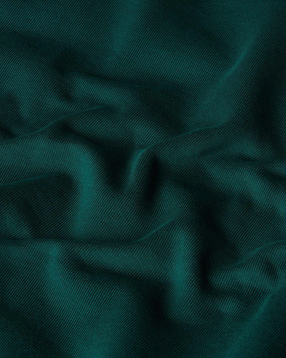 Sweat  capuche dcontract Mountain Jacket Anniversary TNF ALT18
