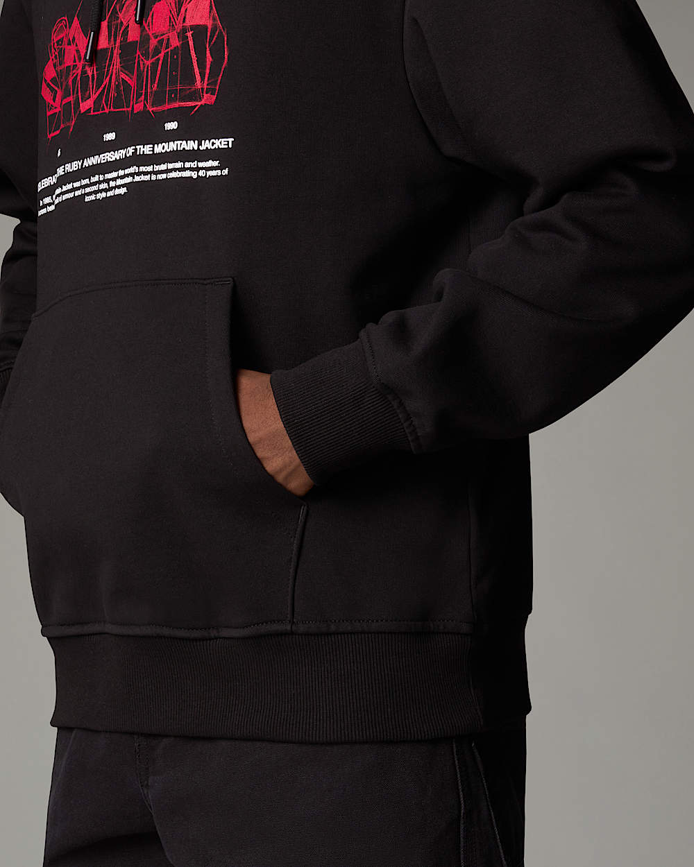Mountain Jacket Anniversary Relaxed Hoodie TNF alt7