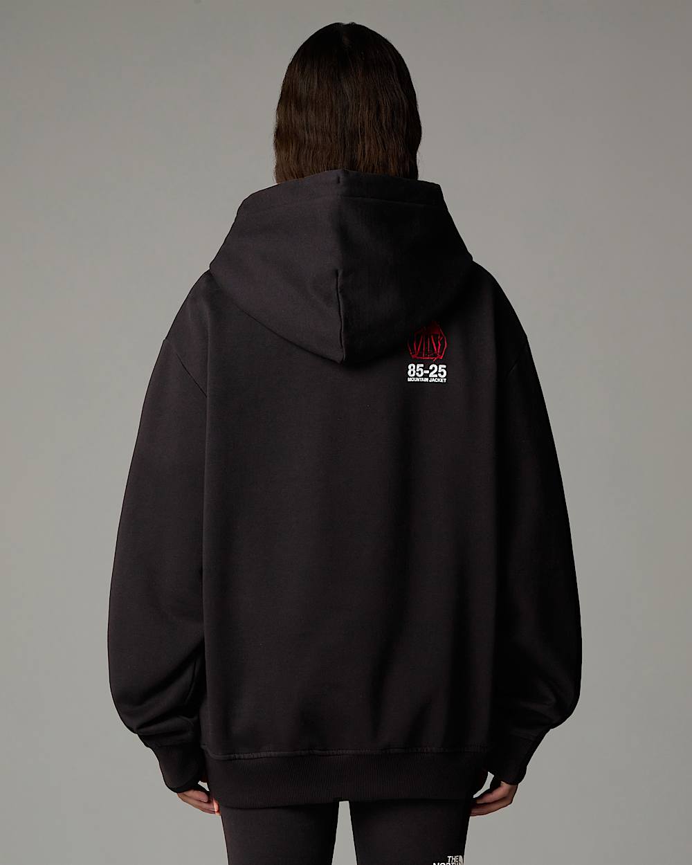 Mountain Jacket Anniversary Relaxed Hoodie TNF alt10