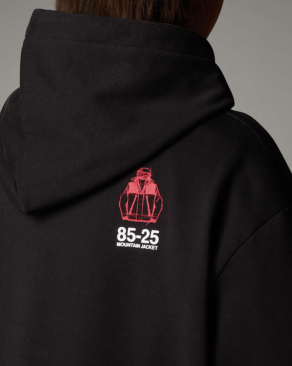 Mountain Jacket Anniversary Relaxed Hoodie TNF alt12