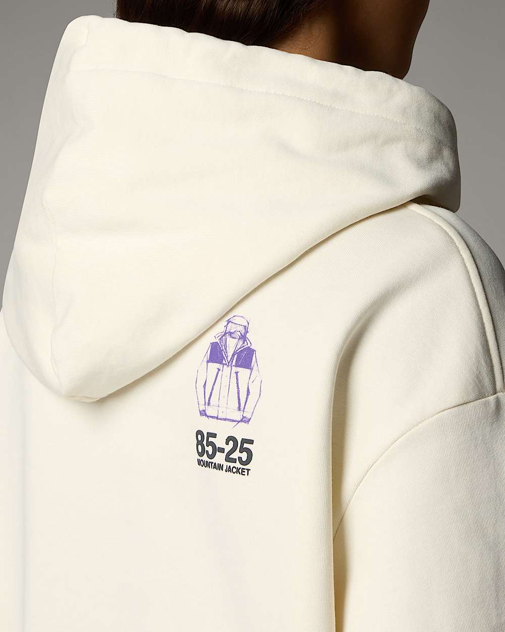 Sudadera holgada con capucha Mountain Jacket Anniversary TNF alt6