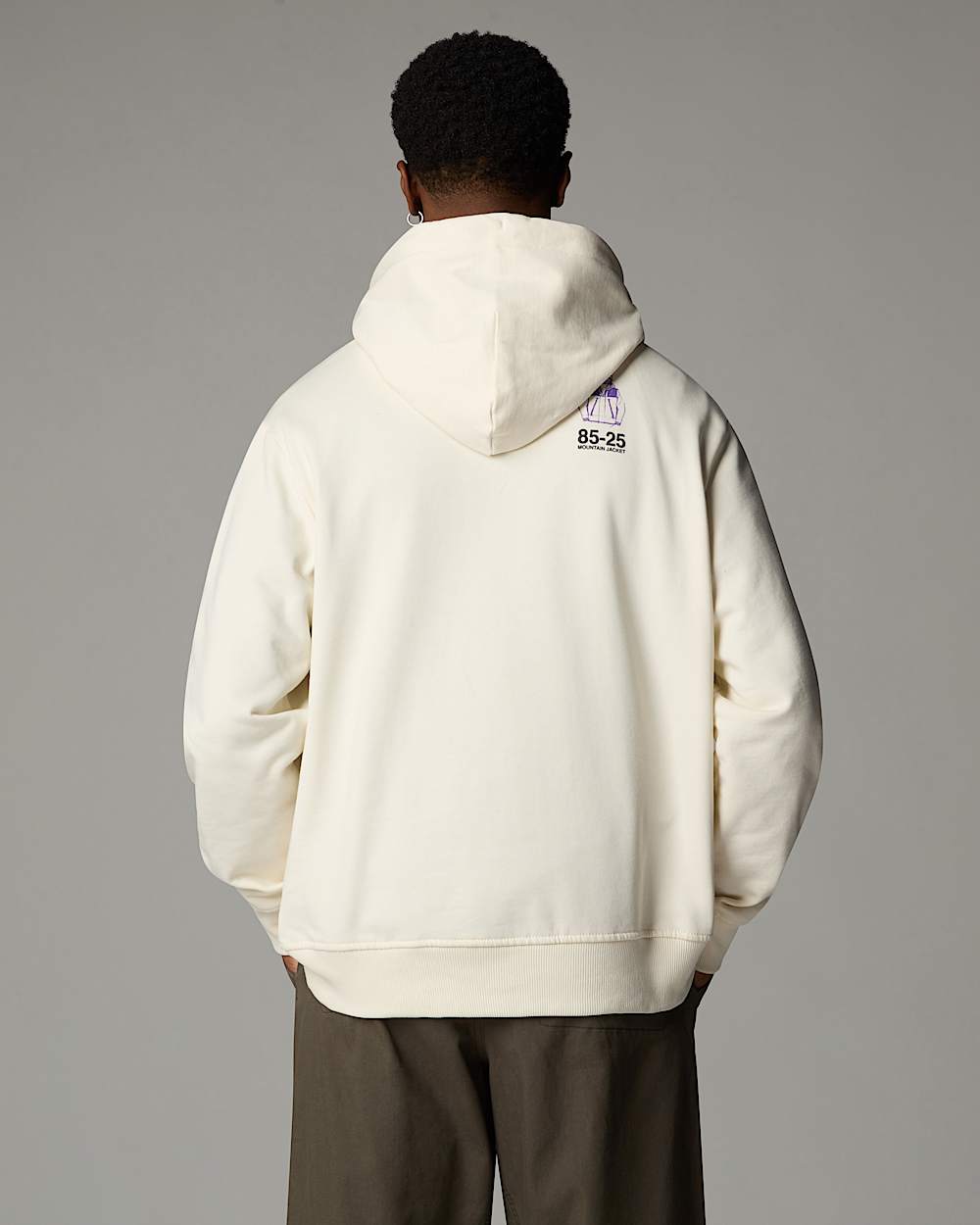 Sudadera holgada con capucha Mountain Jacket Anniversary TNF alt9
