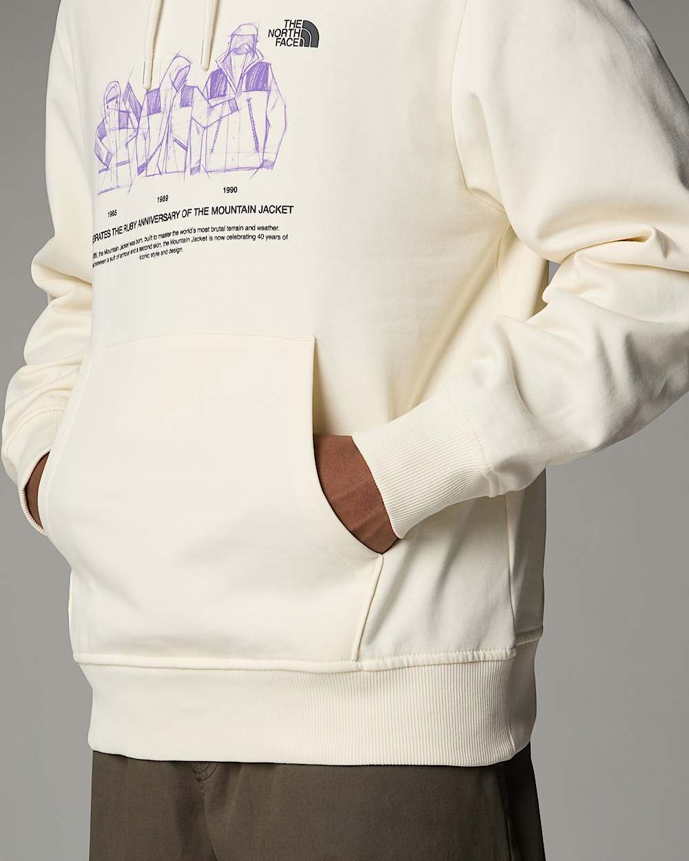 Sudadera holgada con capucha Mountain Jacket Anniversary TNF alt12