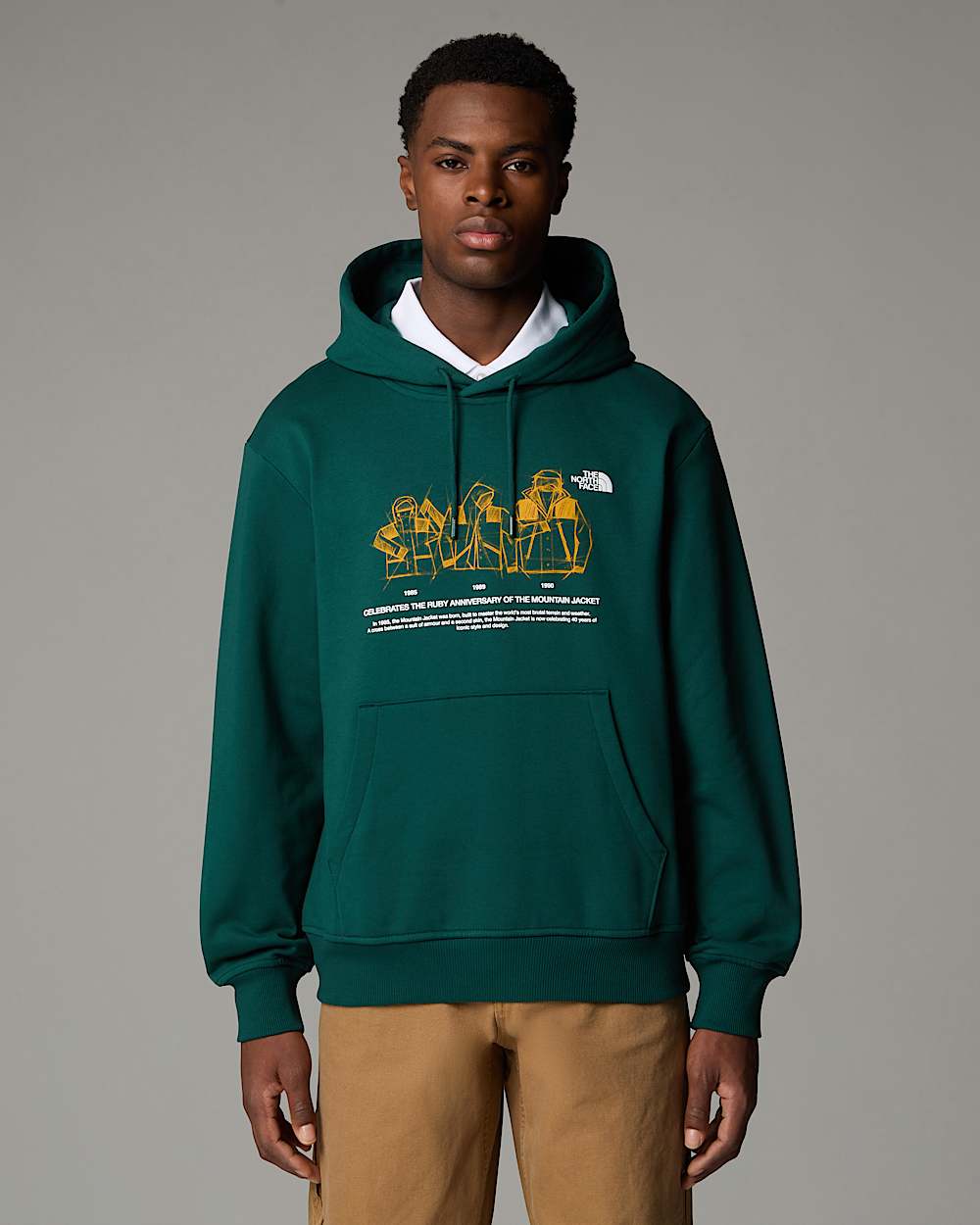 Sweat  capuche dcontract Mountain Jacket Anniversary TNF ALT2