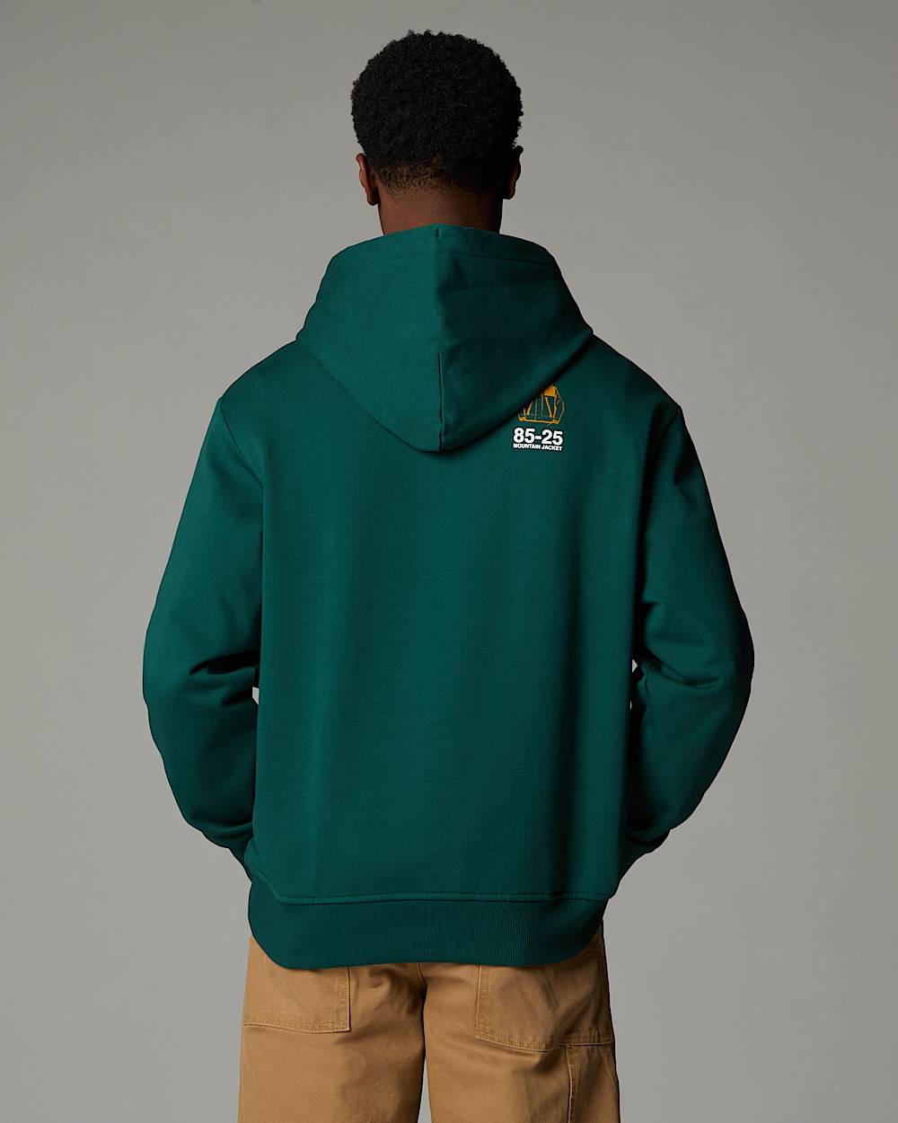 Sweat  capuche dcontract Mountain Jacket Anniversary TNF ALT4