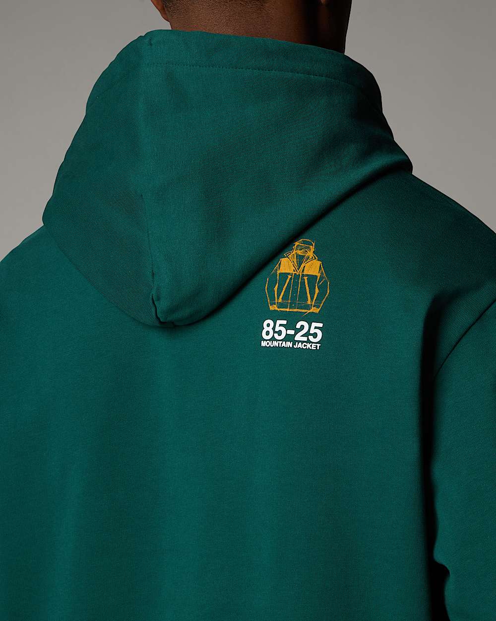 Sweat  capuche dcontract Mountain Jacket Anniversary TNF ALT6