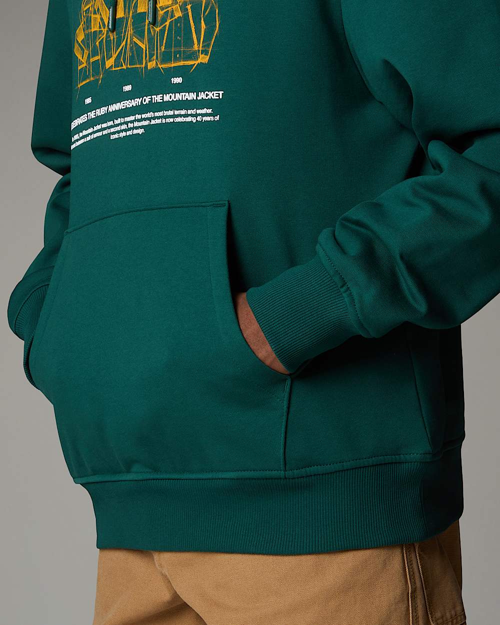 Sweat  capuche dcontract Mountain Jacket Anniversary TNF ALT7