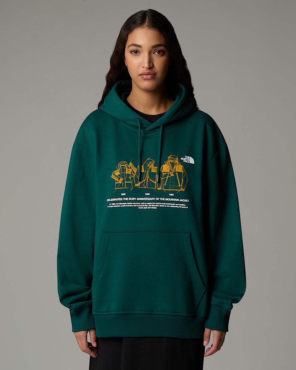 Sweat  capuche dcontract Mountain Jacket Anniversary TNF ALT8
