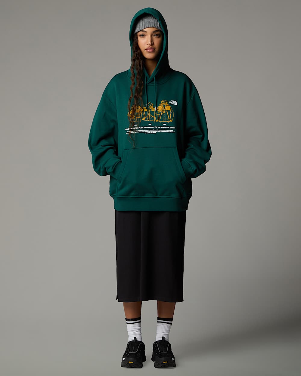 Sweat  capuche dcontract Mountain Jacket Anniversary TNF ALT9