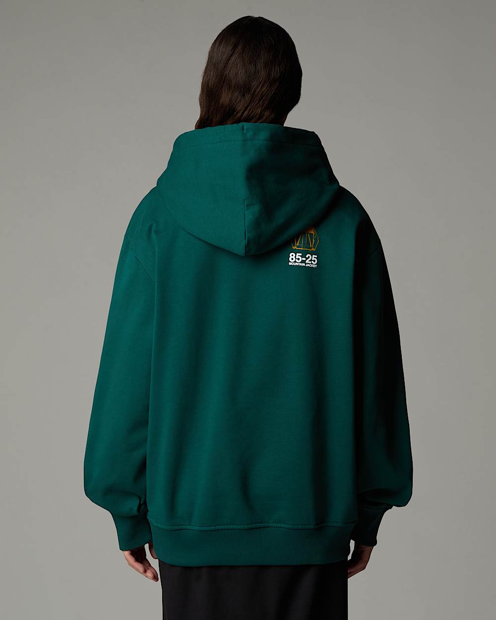 Sweat  capuche dcontract Mountain Jacket Anniversary TNF ALT10