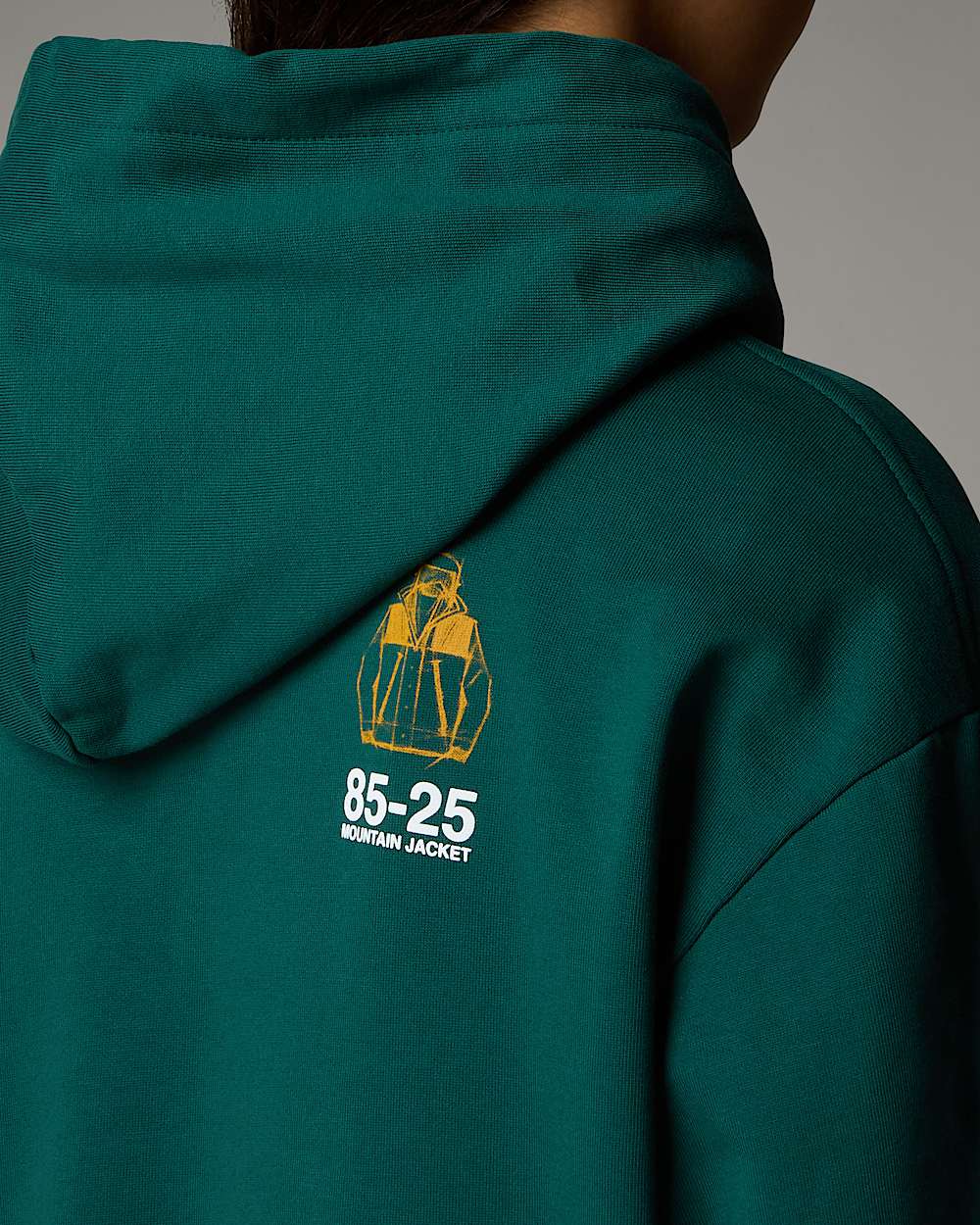Sweat  capuche dcontract Mountain Jacket Anniversary TNF ALT12
