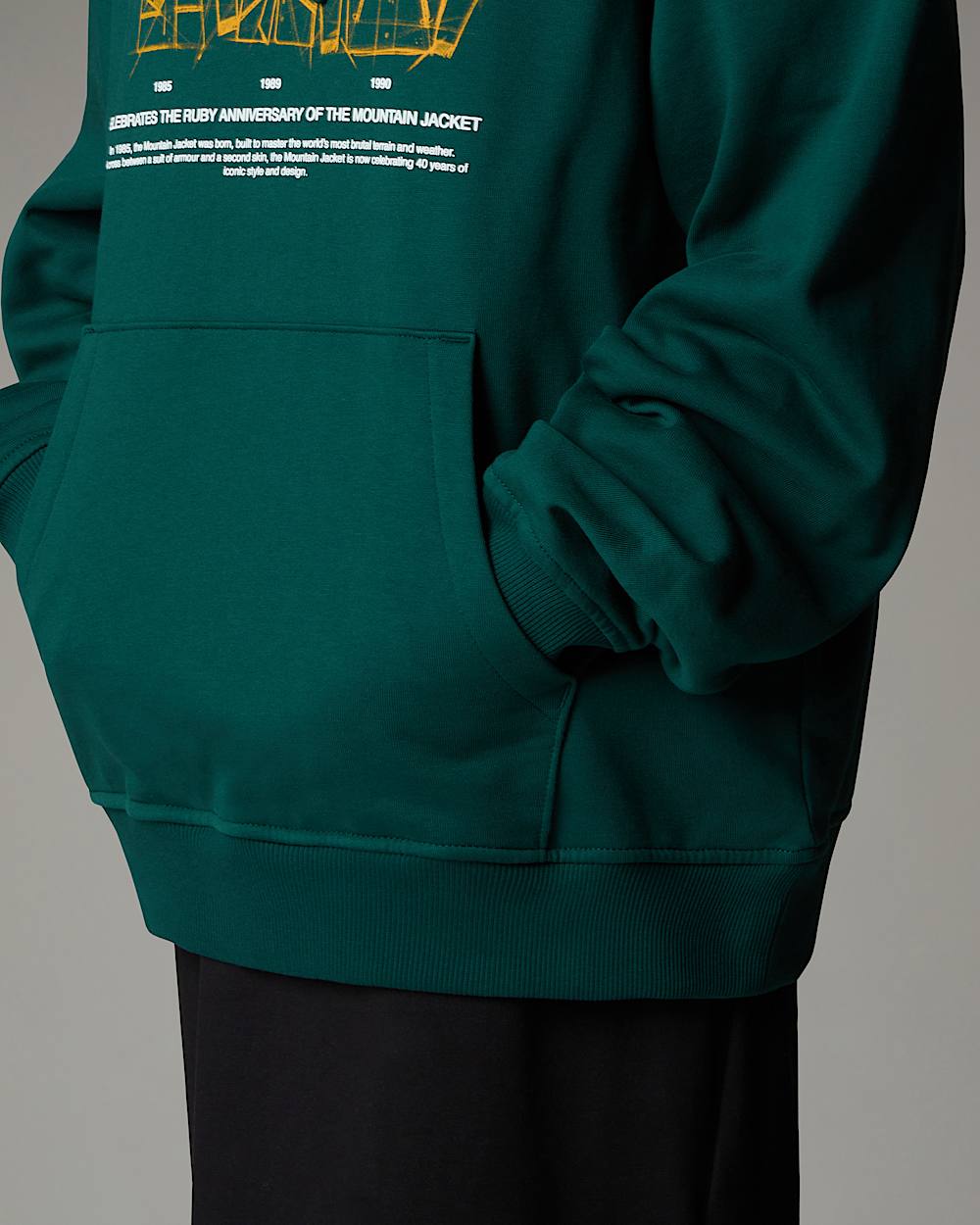 Sweat  capuche dcontract Mountain Jacket Anniversary TNF ALT13