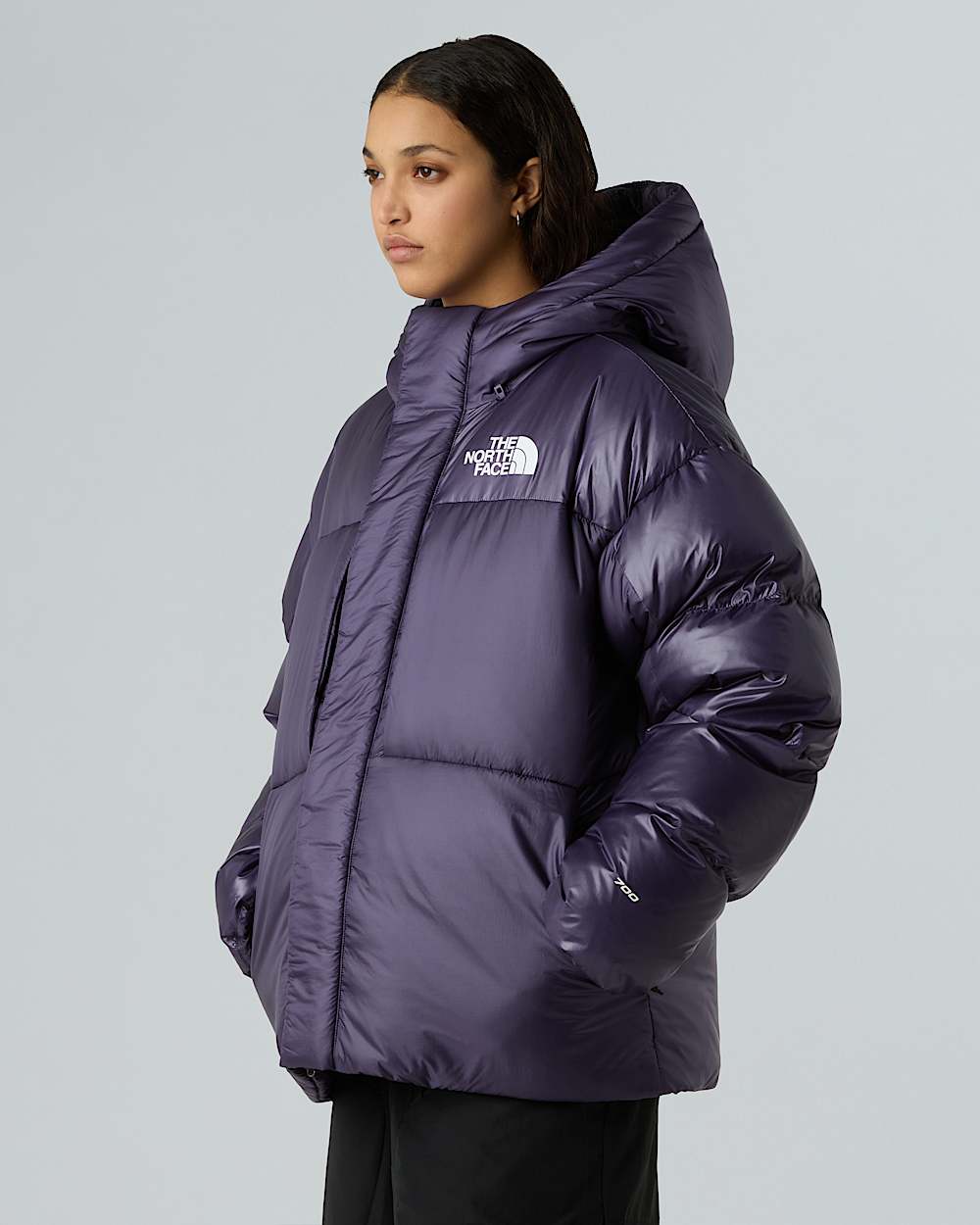 Veste en duvet et Pertex unisexe TNF ALT9