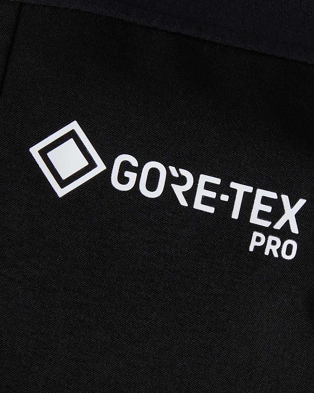 Womens Summit Mountain GORETEX Pro Bib Trousers TNF ALT18