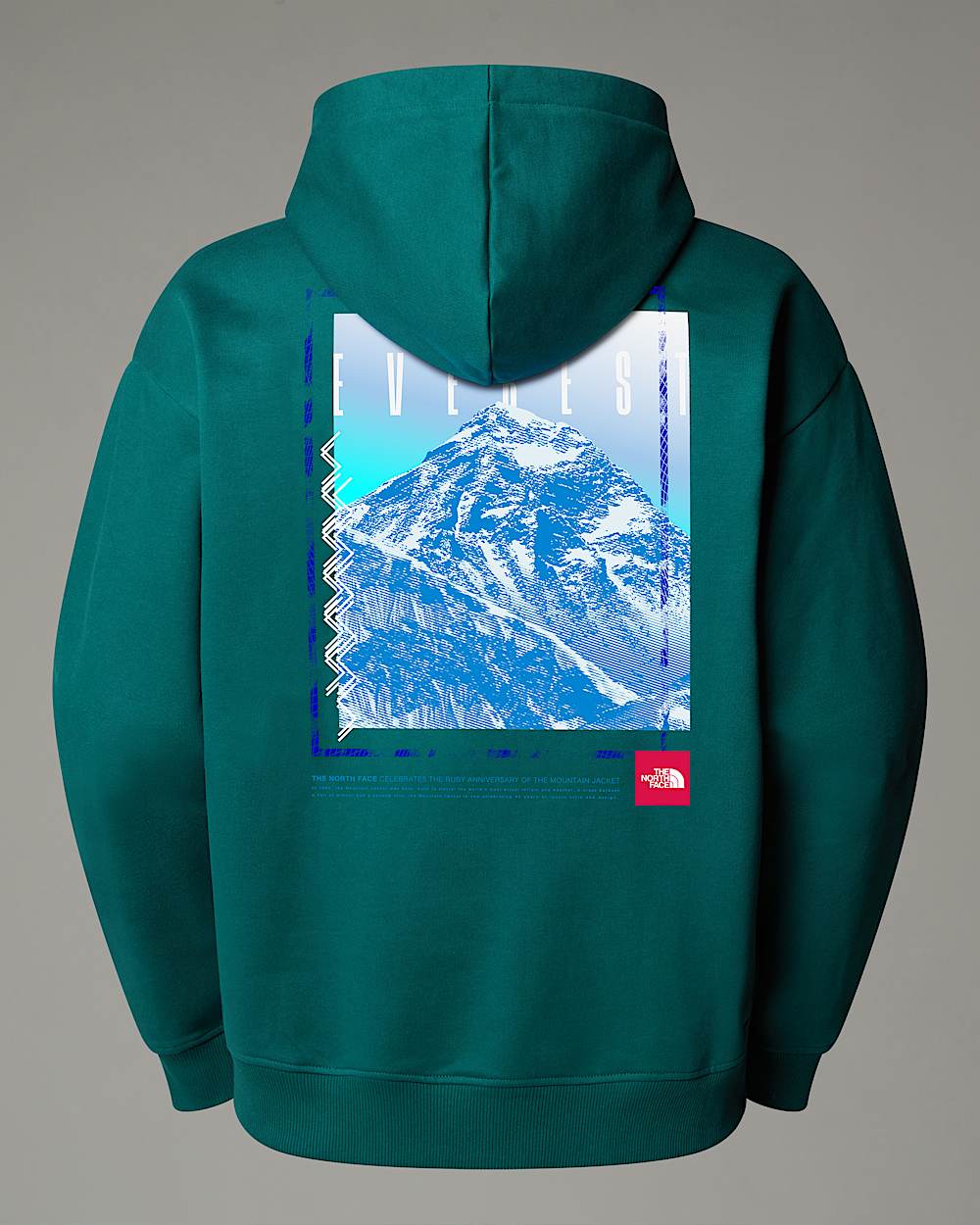 Sweat  capuche oversize AXYS TNF ALT21