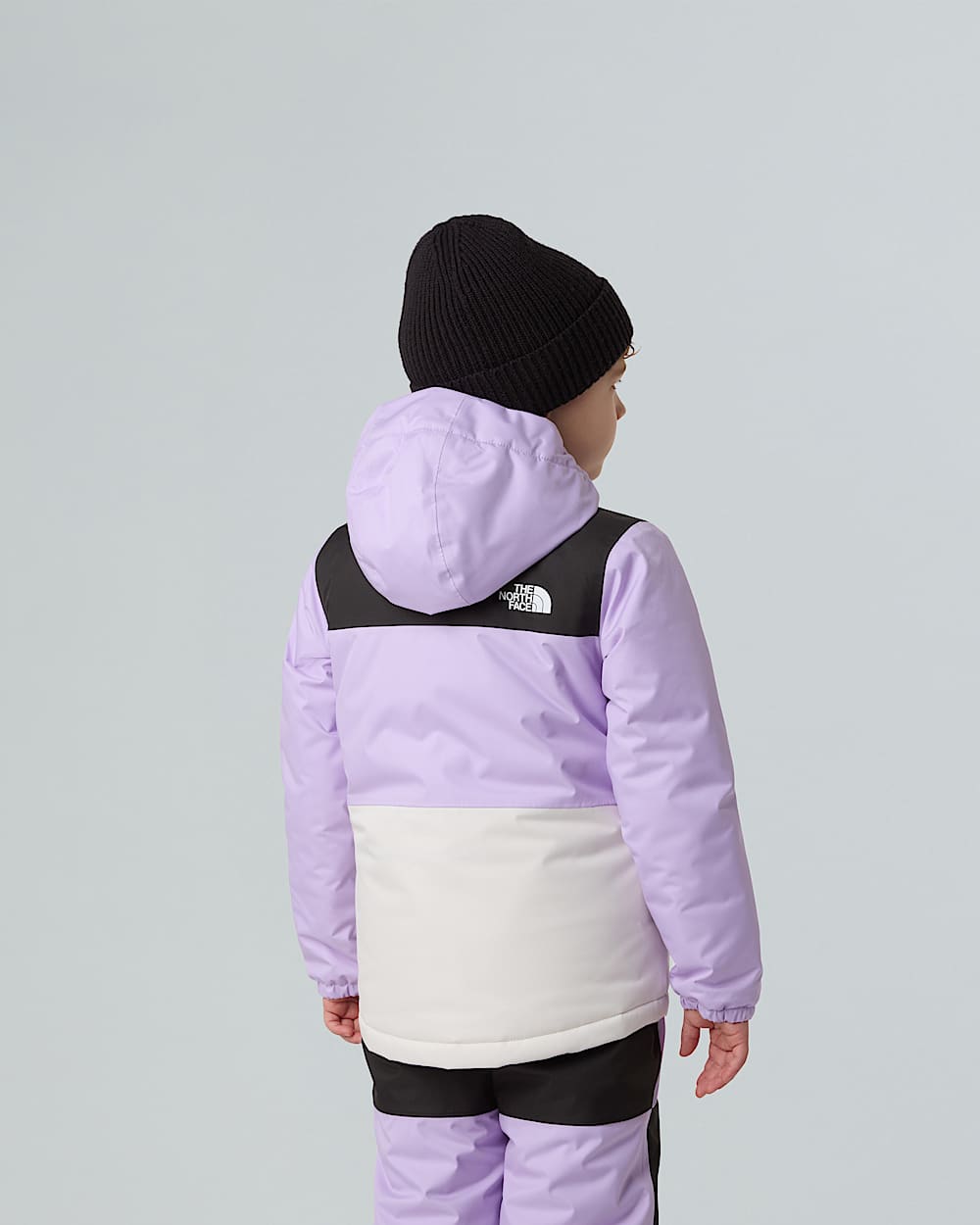 Freedom Insulated Jacket Barn TNF Lite LilacWhite Dune ALT6