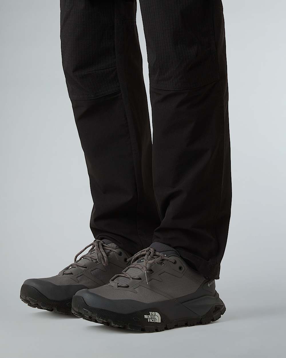 Scarpe da escursionismo Offtrail GORETEX da uomo TNF alt2