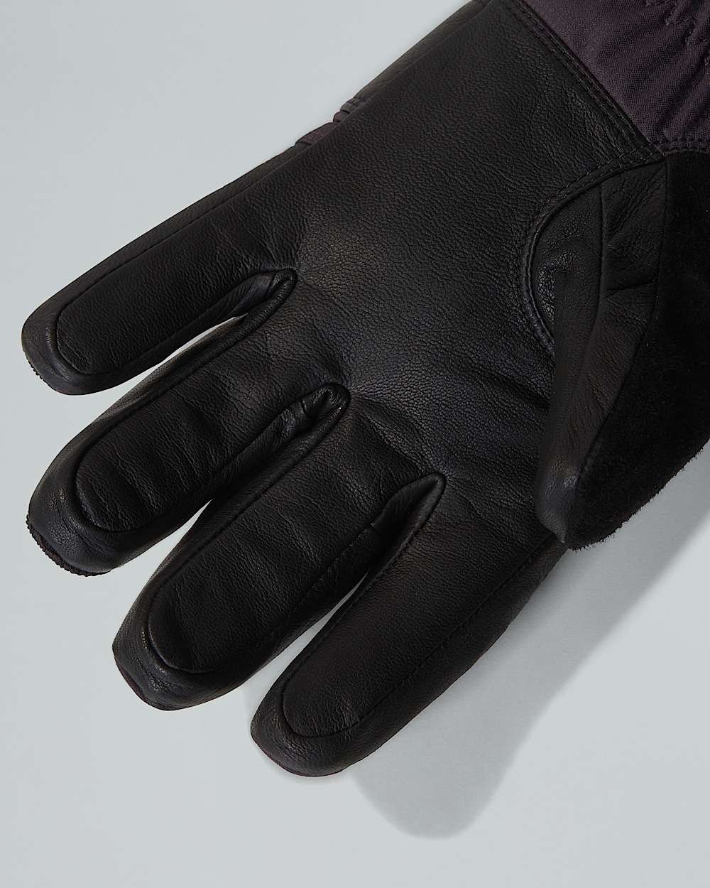 Montana Pro GORETEX Gloves TNF ALT2