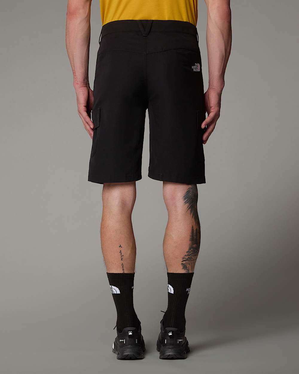 Horizonshort voor heren TNF alt7