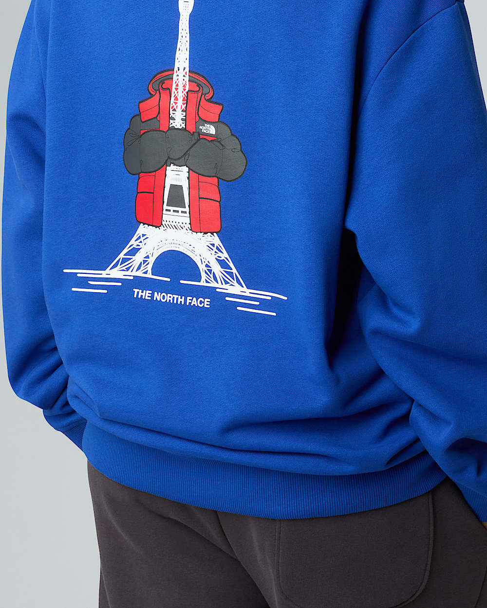 Relaxed Hoodie France unisex TNF ALT12