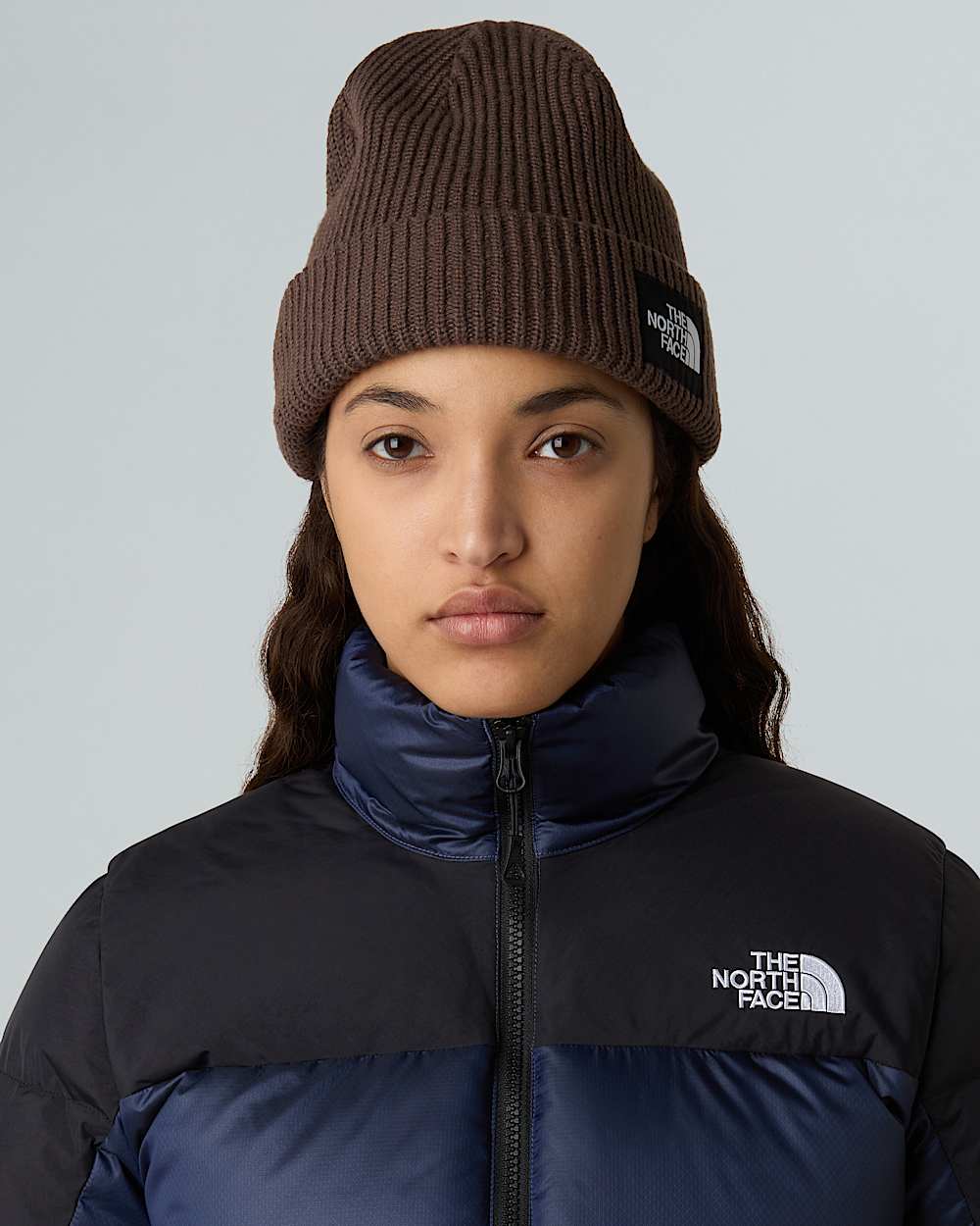 Salty Lined Beanie TNF ALT12