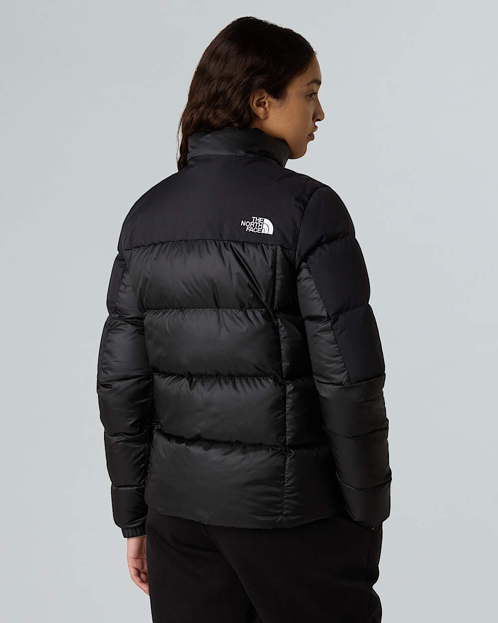 Womens Diablo Down 20 Jacket TNF ALT2