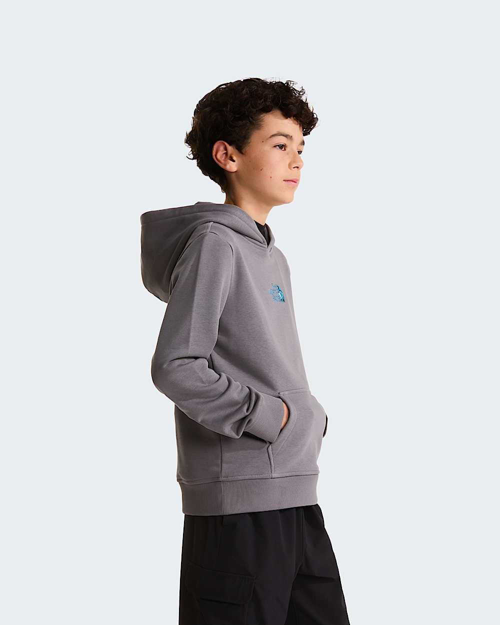 Boys Liquid Logo Regular Hoodie TNF ALT2