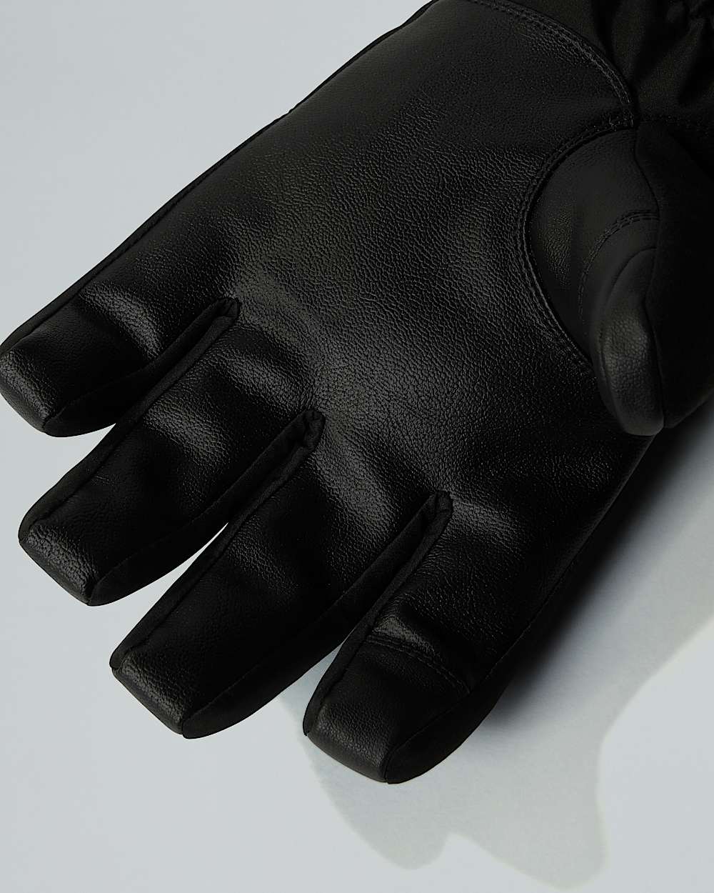 Mens Montana Ski Gloves TNF ALT2
