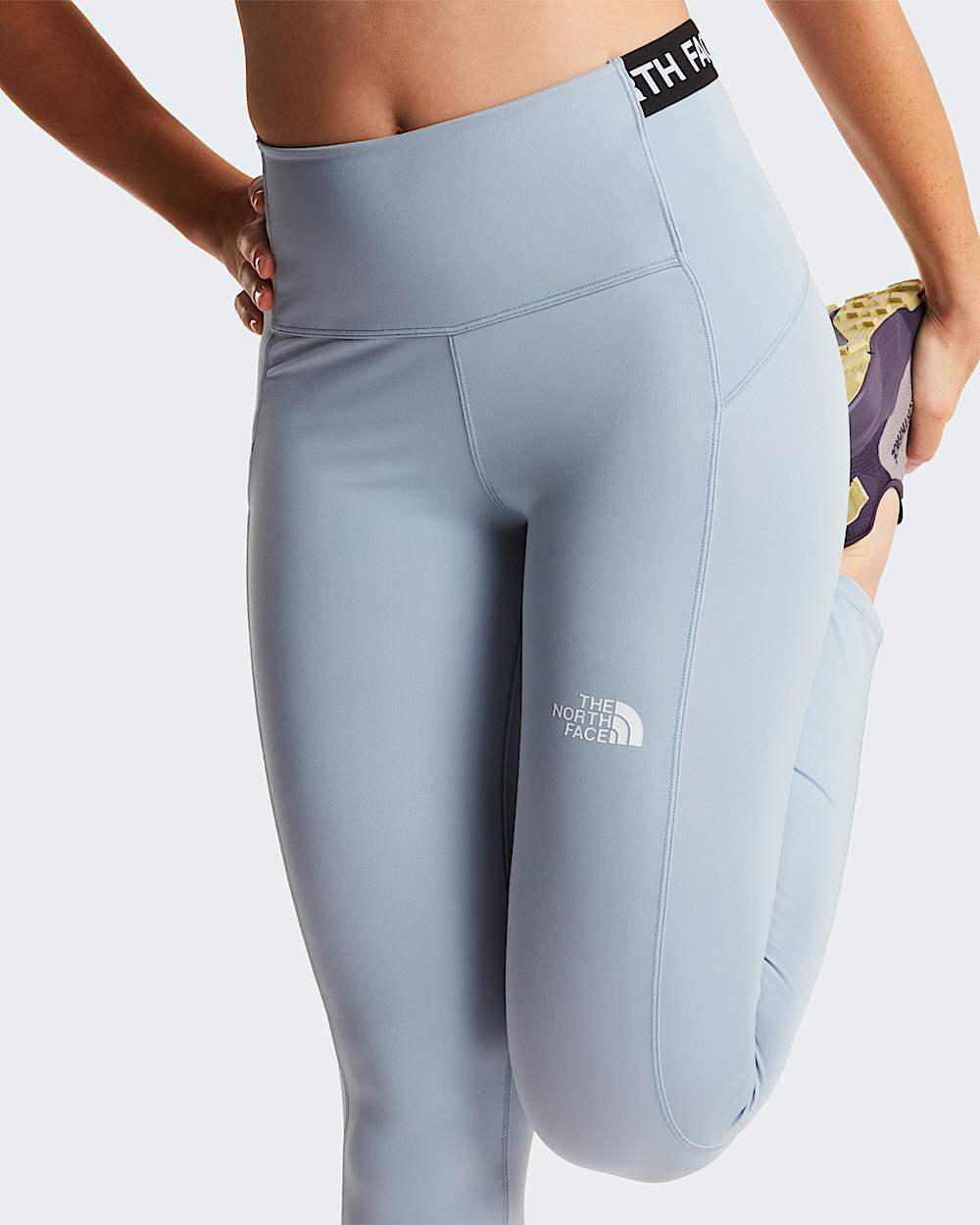Womens Cambrena Leggings TNF ALT6
