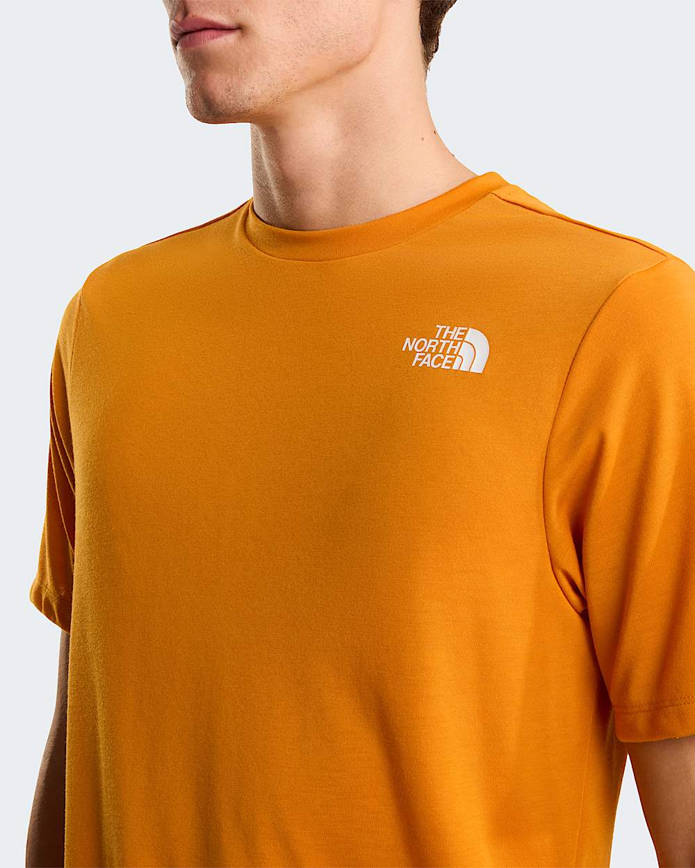 Bitmap Logo Graphic Tshirt voor heren TNF ALT4