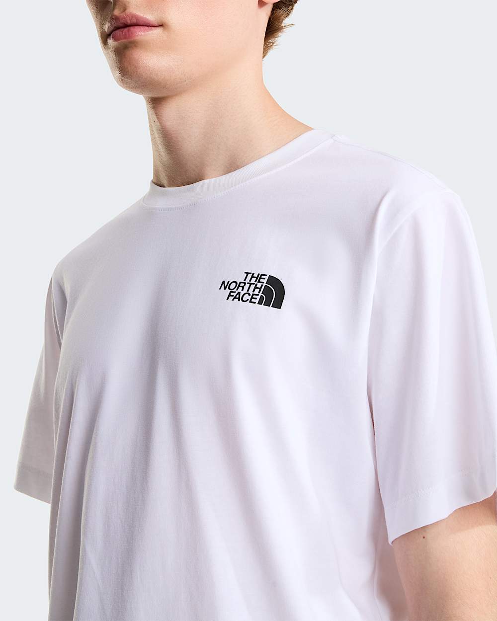 Camiseta recta con estampado grfico Vertical para hombre TNF ALT4