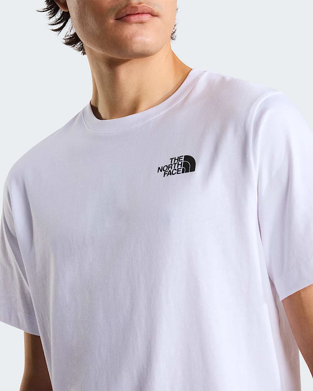 Men's North Faces Regular Graphic T-Shirt | The North Face