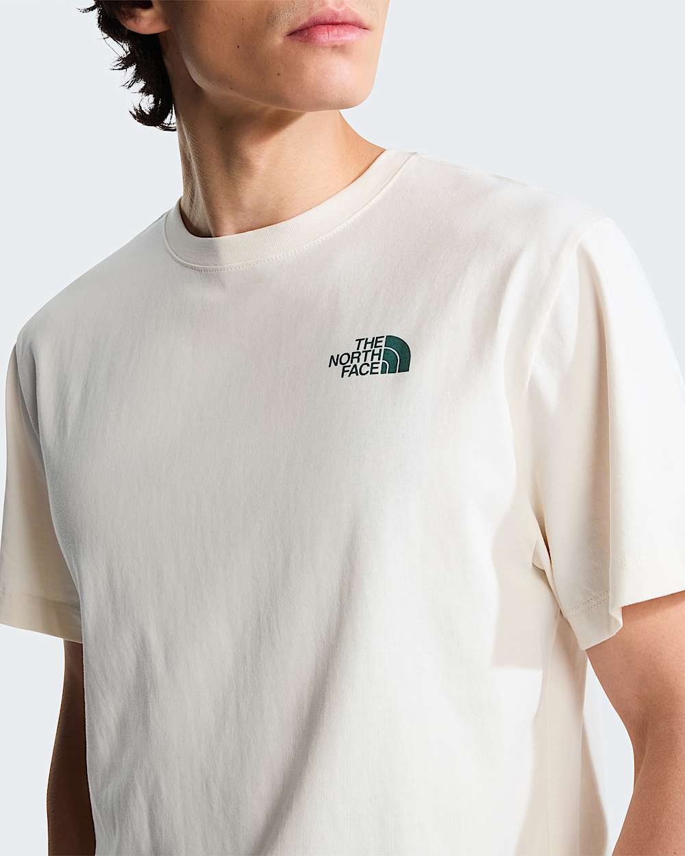 Retro Earth Relaxed Graphic Tshirt voor heren TNF ALT4