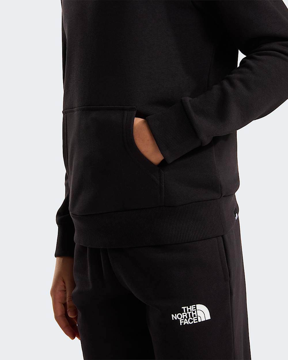 Simple Dome Light Regularhoodie voor tieners TNF TNF Black ALT5