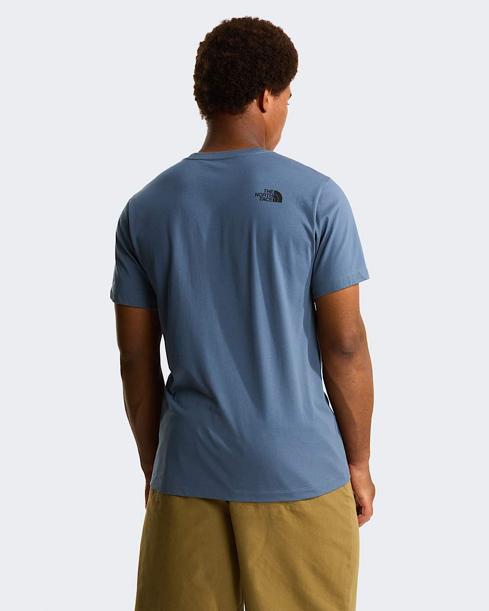 Mens Evolution Box Half Dome Regular TShirt TNF ALT3