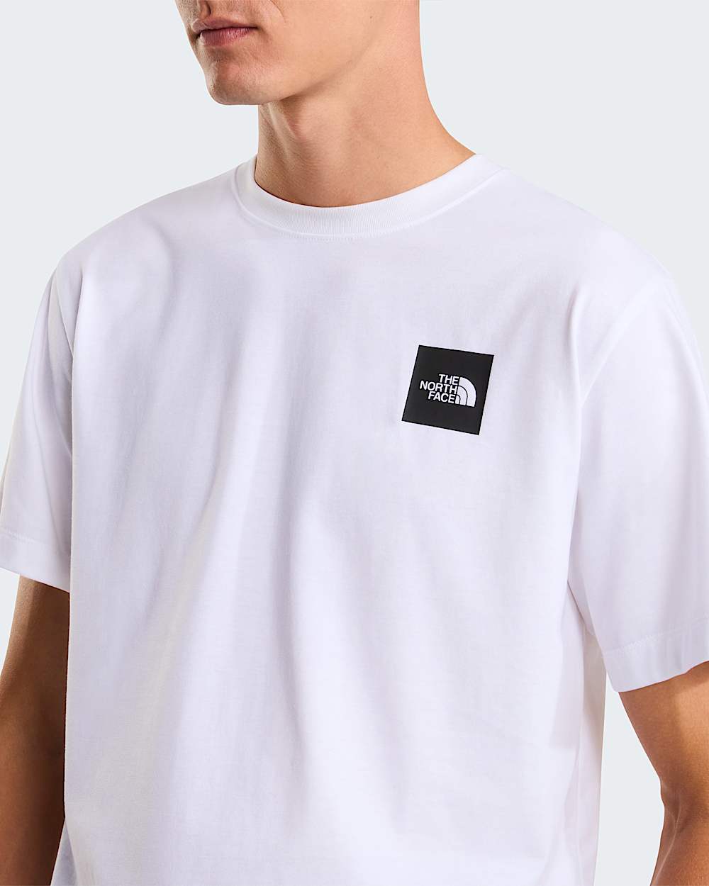 Tshirt standard Box Half Dome Evolution pour homme TNF alt4