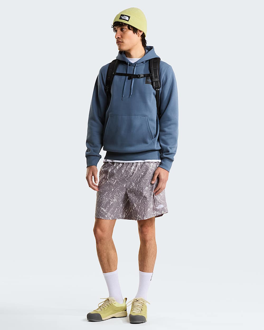 Mens Evolution Box Half Dome Regular Hoodie TNF ALT1