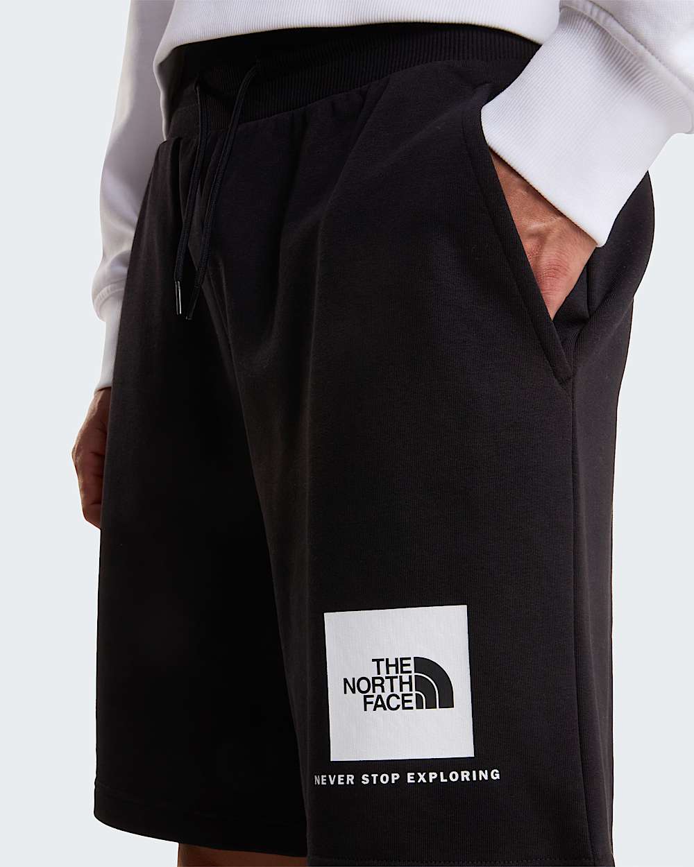 Mens NSE Box Light Regular Shorts TNF ALT4