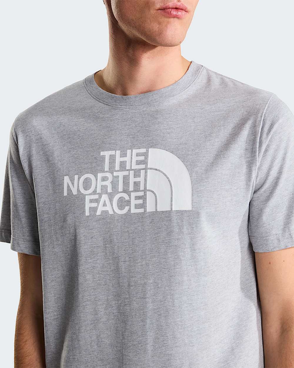 Mens Evolution Half Dome Regular TShirt TNF ALT4