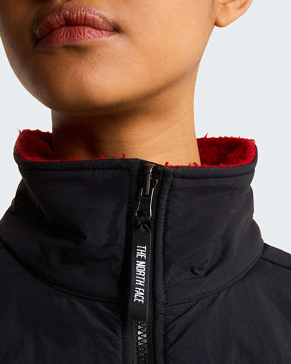 Unisex 1995 Casentino Denali Jacket TNF ALT19