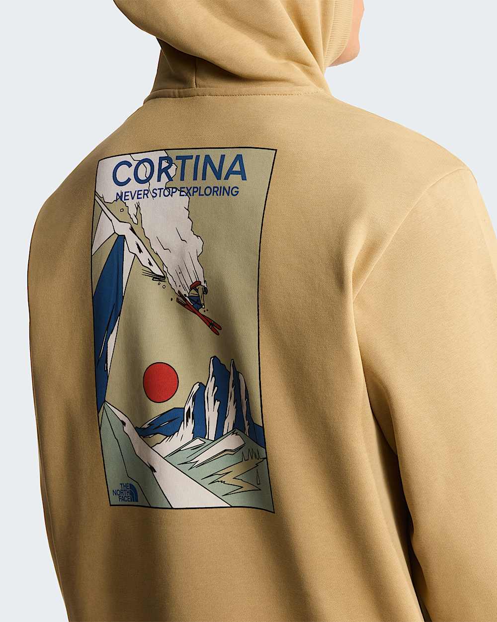 Unisex Mountain Celebration Relaxed Graphic Hoodie TNF ALT7