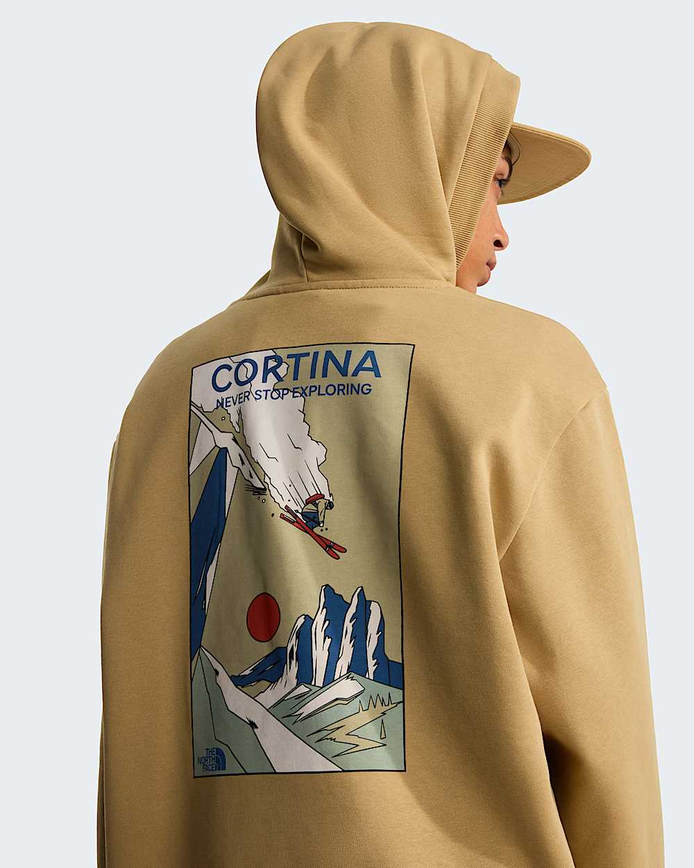Unisex Mountain Celebration Relaxed Graphic Hoodie TNF ALT15