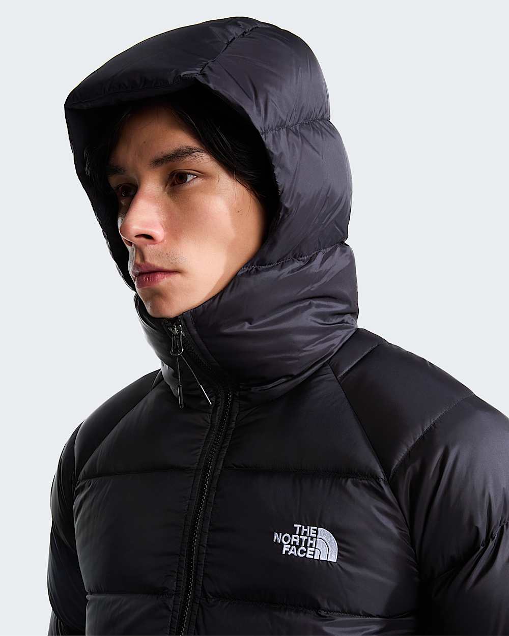 Mens Hydrenalite Hooded Down Jacket TNF ALT5